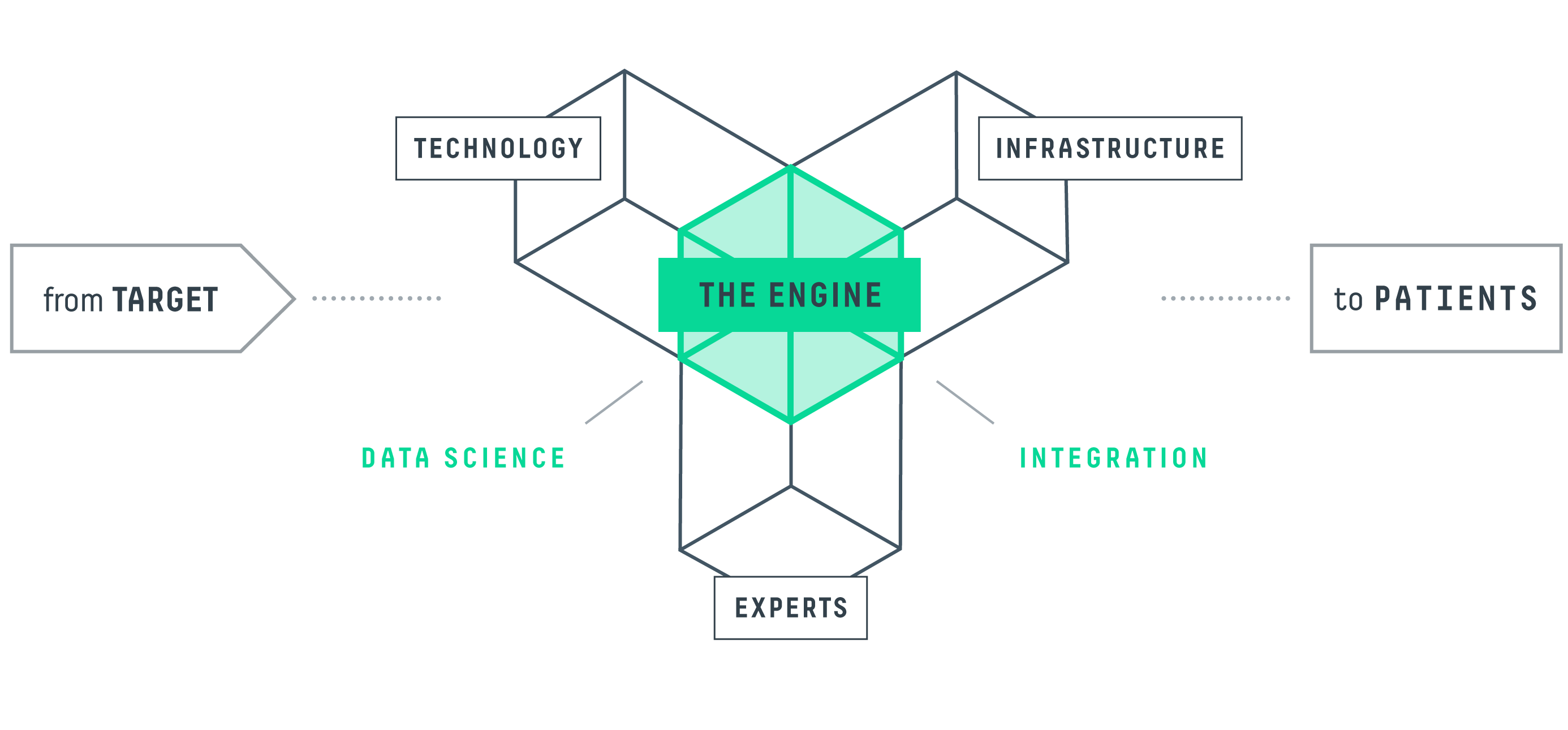 The AbCellera engine.